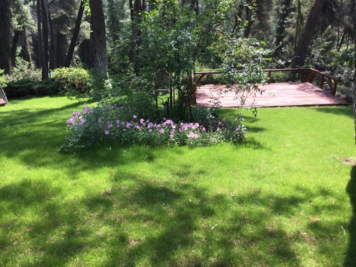Beautiful Summerhouse In Sani'S Pine Forest Sani  Esterno foto