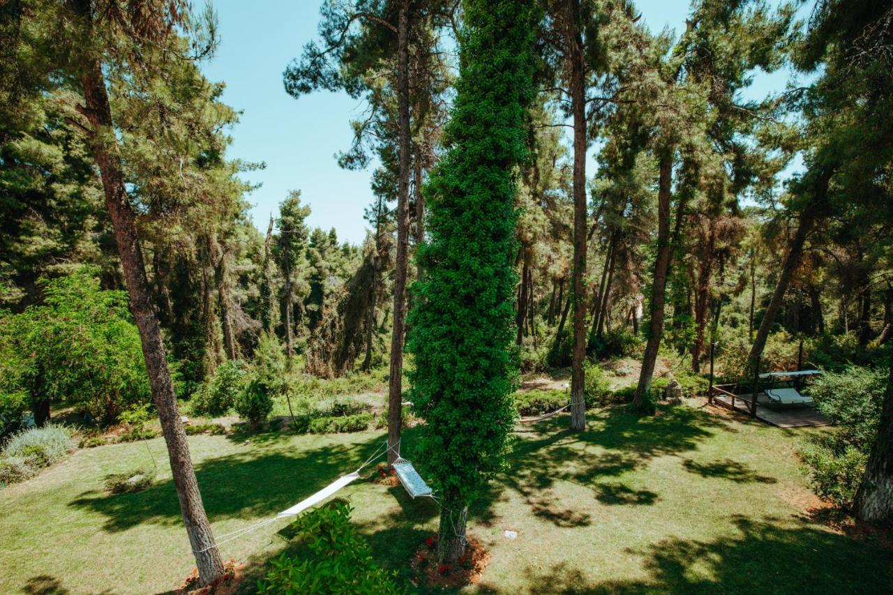 Beautiful Summerhouse In Sani'S Pine Forest Sani  Esterno foto