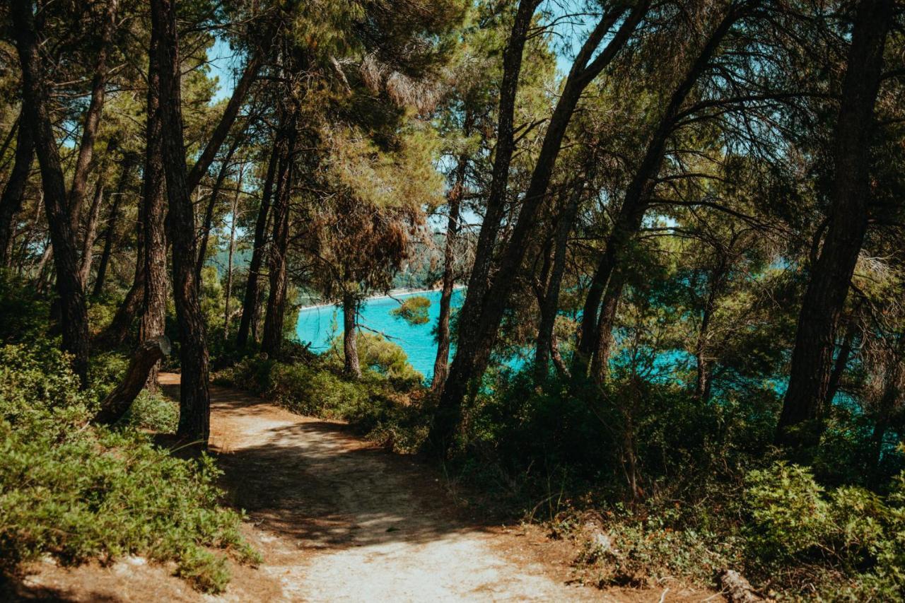 Beautiful Summerhouse In Sani'S Pine Forest Sani  Esterno foto